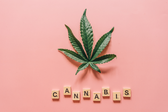 Cannabis